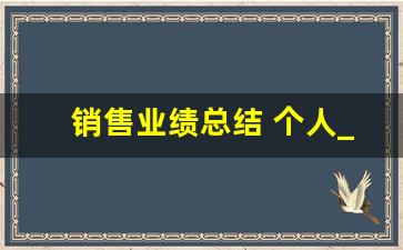 销售业绩总结 个人_销售个人心得总结简短